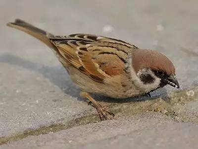 这些号称“绝招”的神技，黔南人你还记得几招？