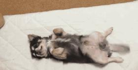 女朋友喜欢睡懒觉怎么回事,女生喜欢裸睡正常吗