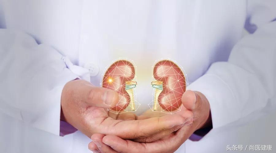 一个肾对人体有多大影响,肾对哪些脏器有影响