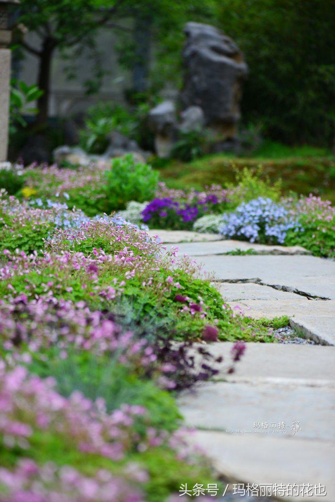 开满鲜花的小路教学设计一等奖,园丁培植万朵花