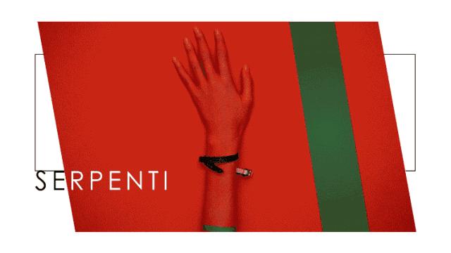 Chanel、Hermès、Dior……这些大牌你叫得出口吗？｜中传云平台