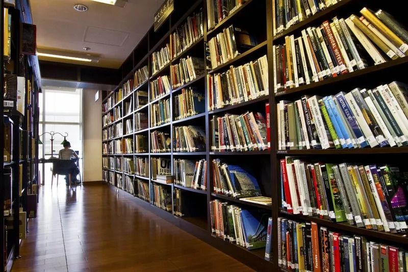 藏书给人一种安全感