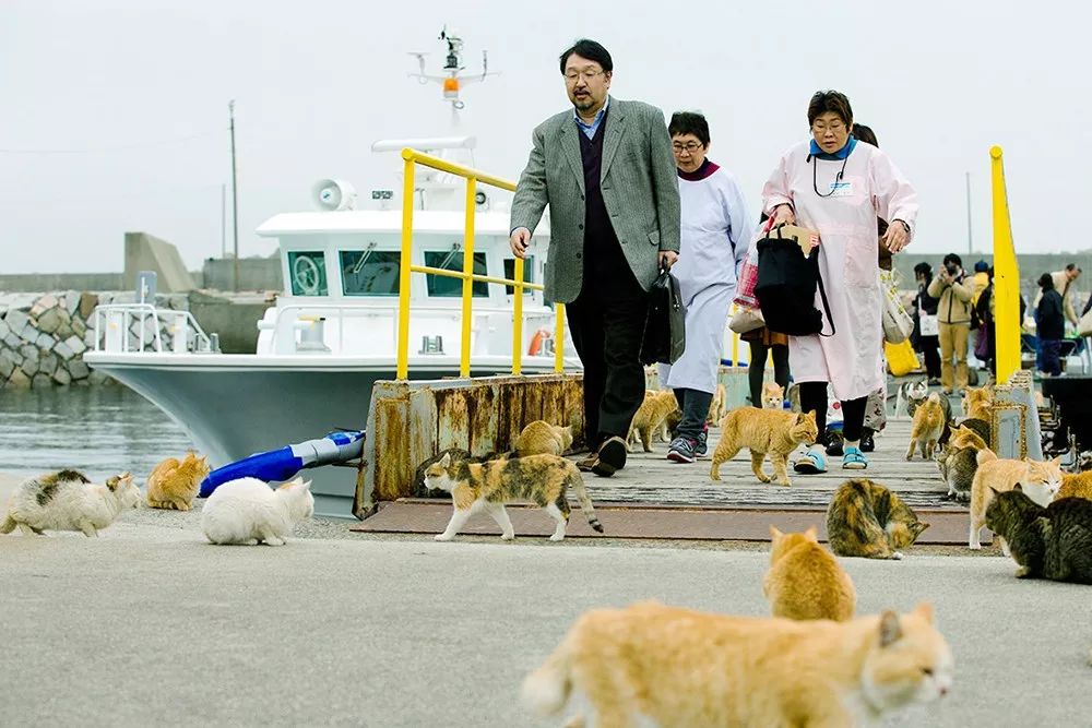 日本最高级的温泉,日本最古老的温泉是什么