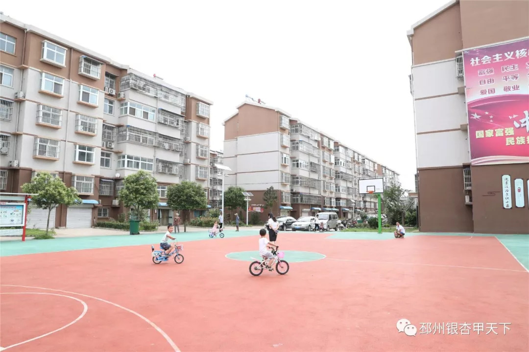 来不及解释了快上车原版视频,来不及解释了快上车动态图