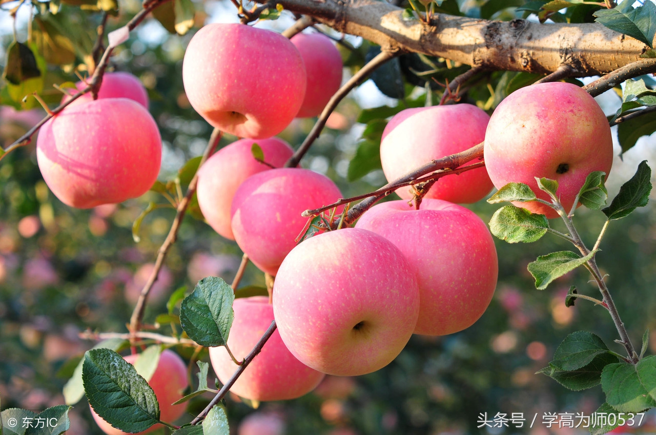部编版一年级语文生字组词造句,部编版一年级语文上册组词造句
