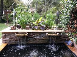 「龟龟环境篇」沼泽过滤(bogfilter):一种原生态水处理技术