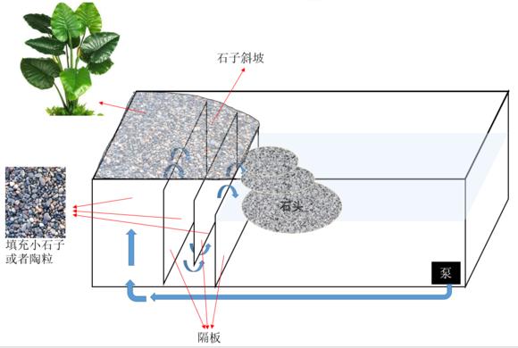 「龟龟环境篇」沼泽过滤(bogfilter):一种原生态水处理技术