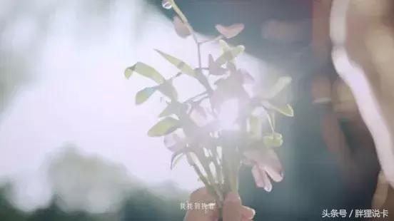 关于百雀羚的神级广告,百雀羚神广告