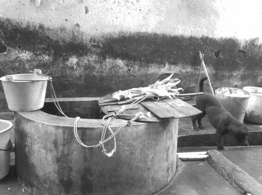 故乡那口井,故乡的那山那水