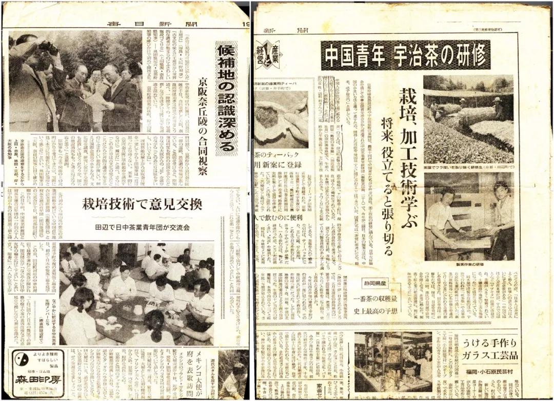 普洱茶大师卫宗成,普洱茶传承工艺大师排名