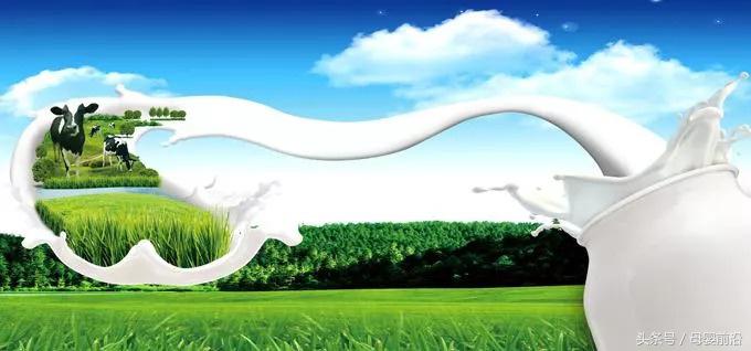 近10年奶粉品牌安全事件,进口奶粉有质量问题怎么处理