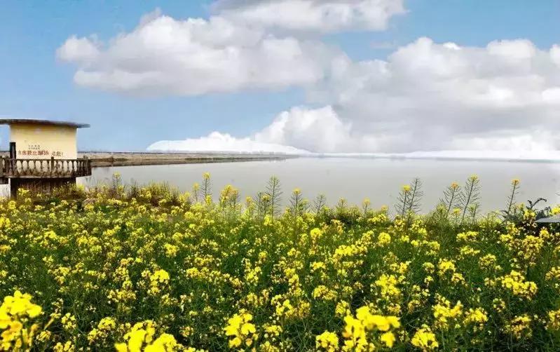 湖北重磅项目名单,湖北高质量发展规划图最新