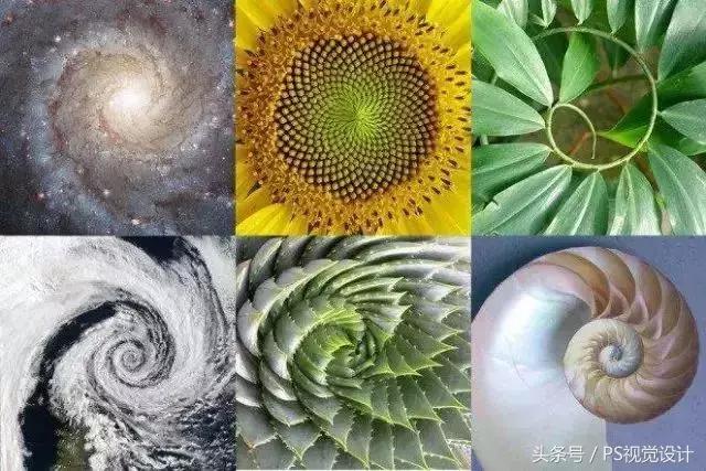 什么是黄金比例,黄金比例设计运用