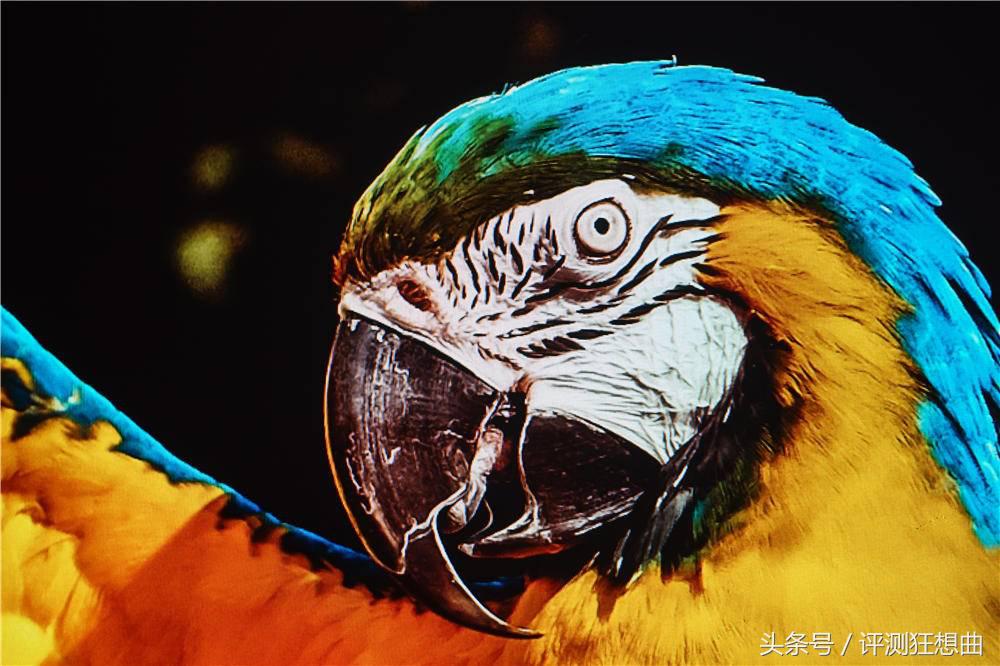 三星4k显示器u32j592uqc评测,三星显示器u32j592