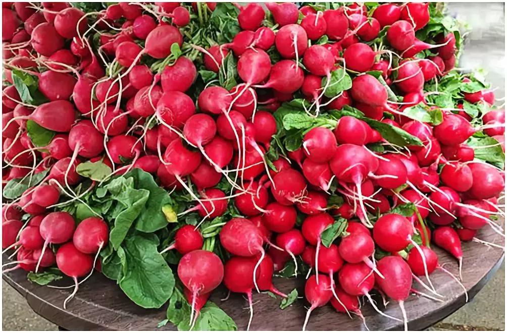 抗生素滥用的危害小科普图片,警惕抗生素滥用的巨大危害