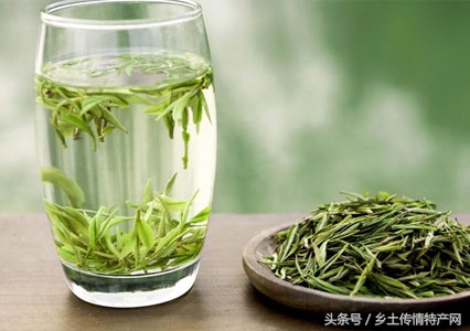 安吉白茶官方正品正宗安吉白茶,芳羽安吉白茶和宋品安吉白茶