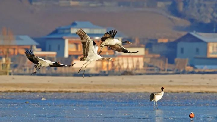 不用远赴土耳其的热气球,不用远赴千里看风景