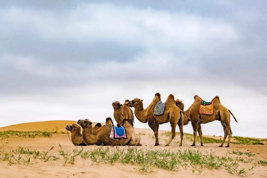 狂野飙车越野,青海穿越美景