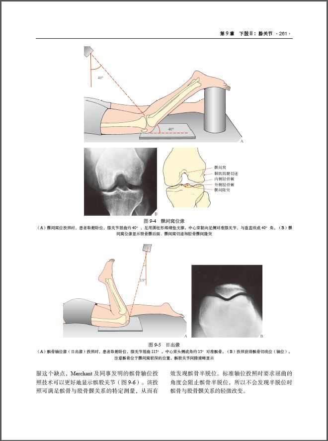 实用骨科影像学——原书第6版经典之作