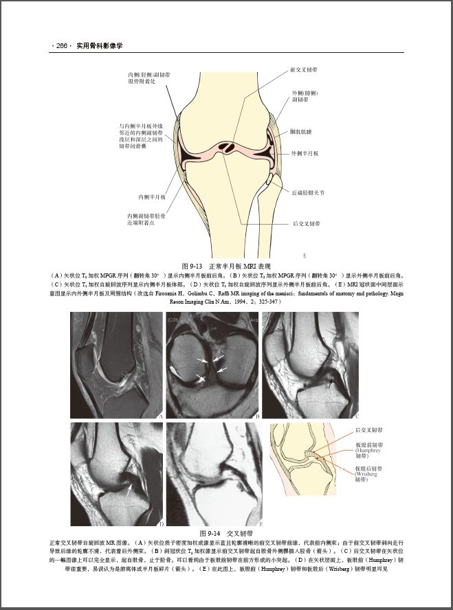 实用骨科影像学——原书第6版经典之作