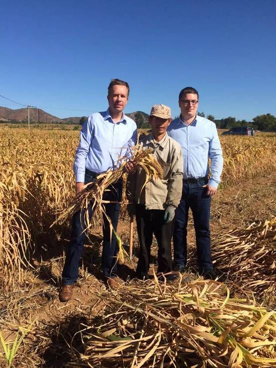 投资农业未来5年的出路,做农业想赚钱必须要有新的模式