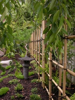 庭院元素,庭院竹子造型布局