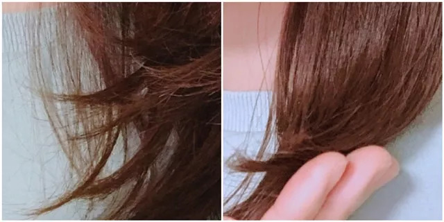 炸毛狗秒变温柔小仙女?沙龙级护发一次成本5块都不要!