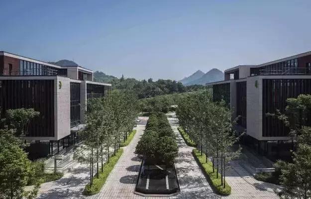 造价千万的完美球场秋天的青山湖边藏了一个网红级别的团建圣地