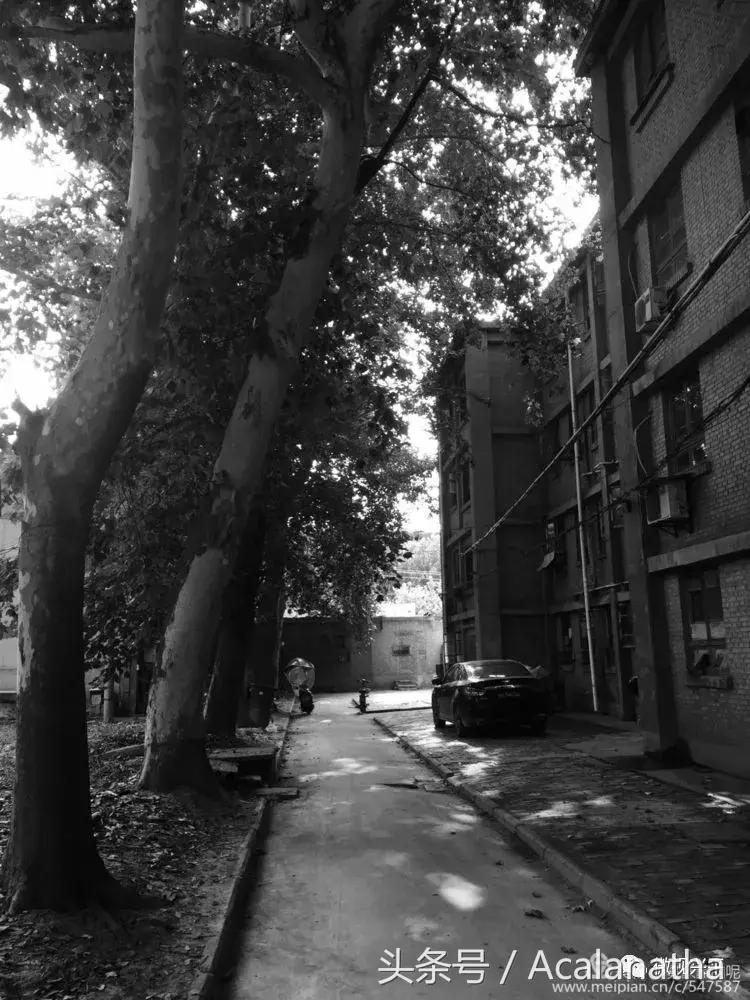 兴平：我的故乡我的云一一70后纤维厂纪事