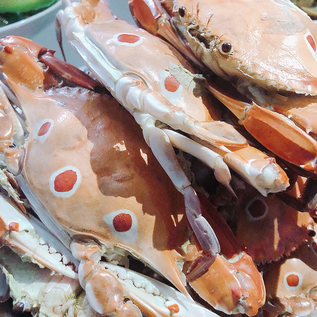 旅游天天荐:万恶之帝-香港