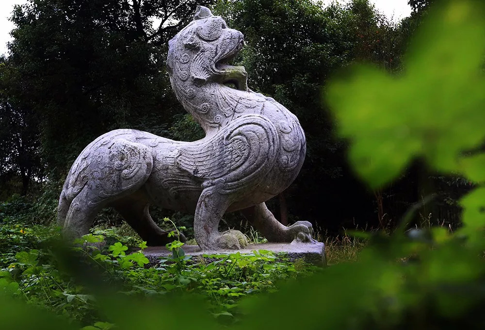 去丹阳配眼镜攻略,去丹阳的丹阳眼镜城配眼镜