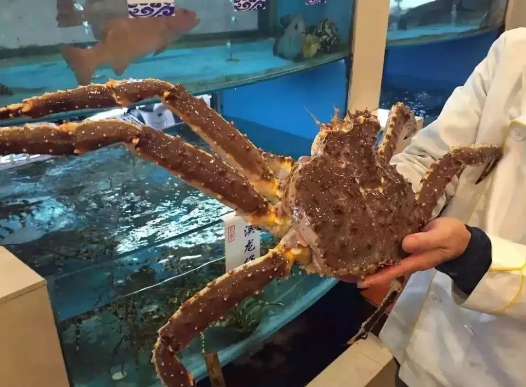 十大高端海鲜餐厅,特别好吃的海鲜餐