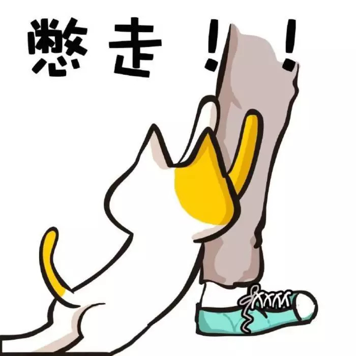 以前的南宁邕江大桥,南宁市邕江大桥以前的样子