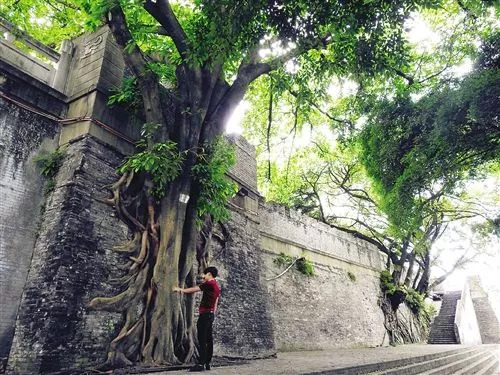 以前的南宁邕江大桥,南宁邕江桥珍贵记录