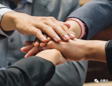 合同猪还有养的前途吗,合同猪的优缺点