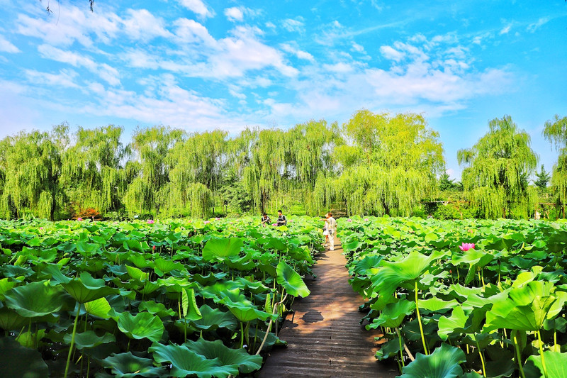 苏皖浙三省交界处,秋冬广德旅游攻略