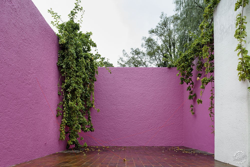 融入光影的诗意色彩表达——巴拉干的色彩应用