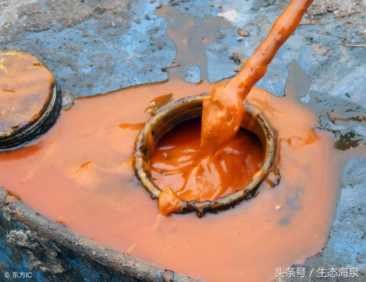 我们常说的地沟油是什么,揭露地沟油的真相