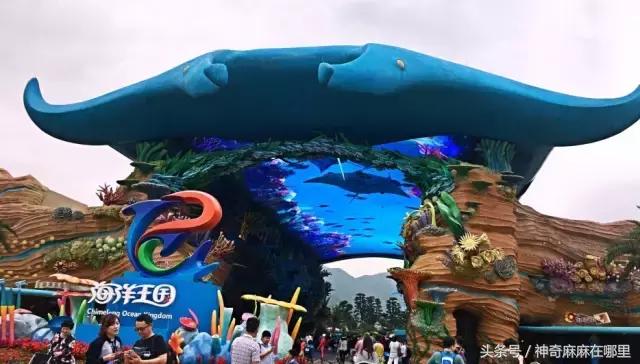 珠海长隆旅游攻略3天自由行,亲子游珠海长隆一日游攻略