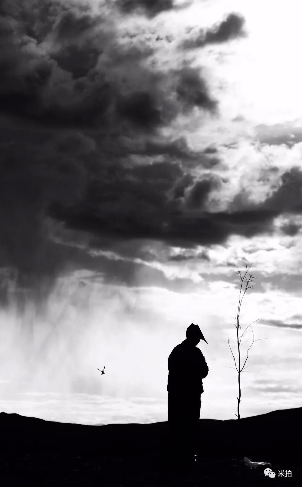 这个夏天，100位年轻的摄影师在这里C位出道！