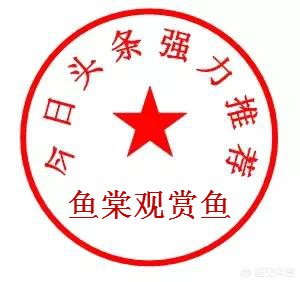 有人为河豚的鲜美献出生命,也有人为基佬快乐鱼的鲜嫩而痛湿*裤内**