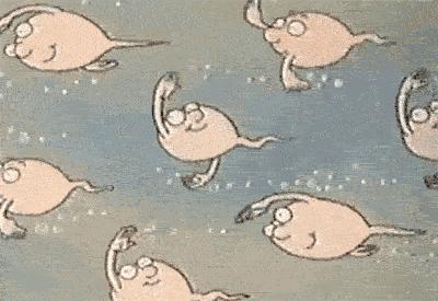 「涨姿势」哎呦羞羞，关于“小蝌蚪”的那些事儿！