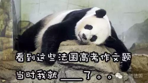 法国历年高考作文题,看到高考作文题