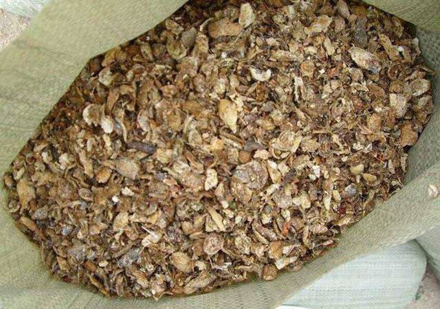 自制花肥恶臭冲天？用这4个小窍门，花肥不臭效果更好！