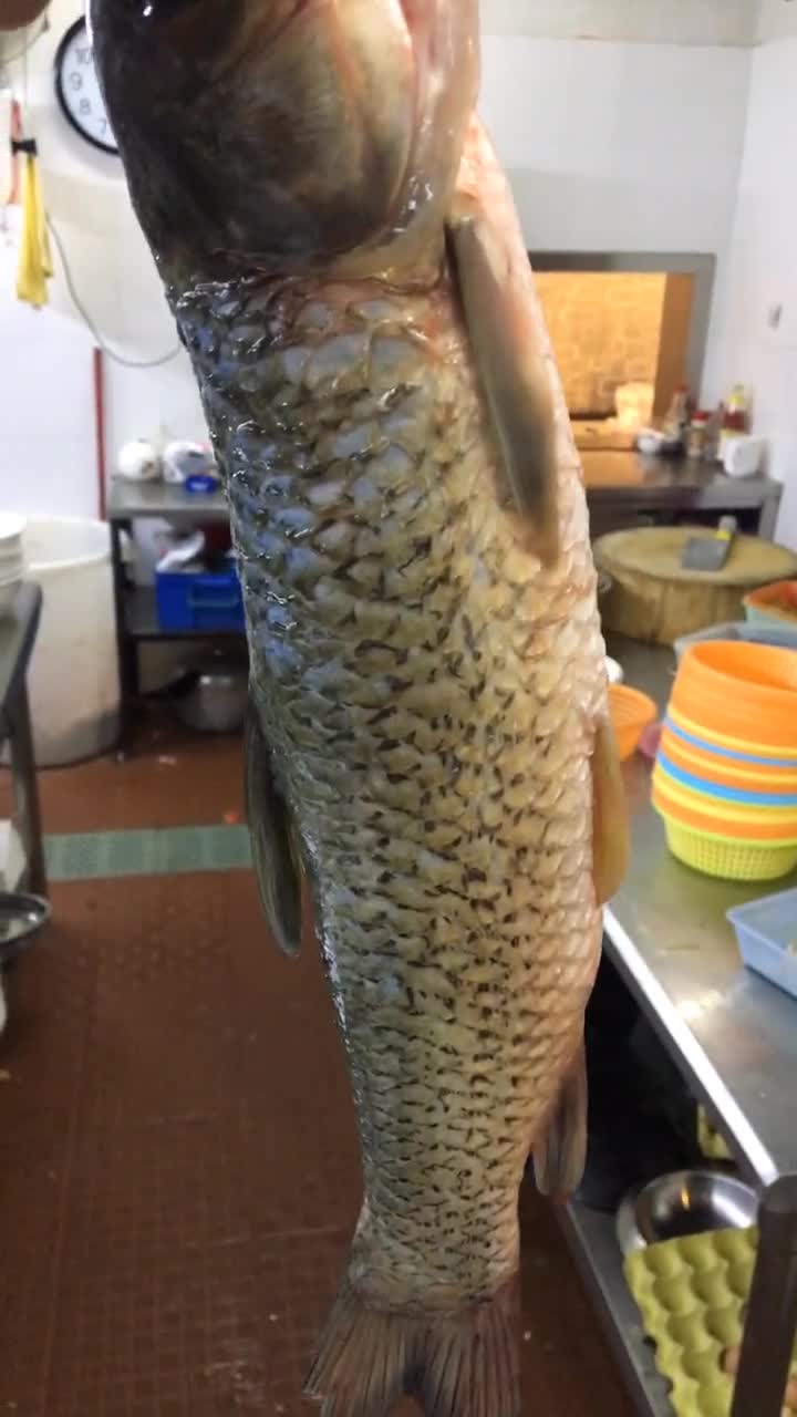 水煮鱼改刀腌制方法,水煮鱼怎么切片视频教程