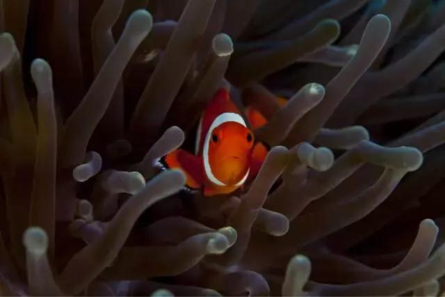 东南亚性价比最高的景点,东南亚好看风景