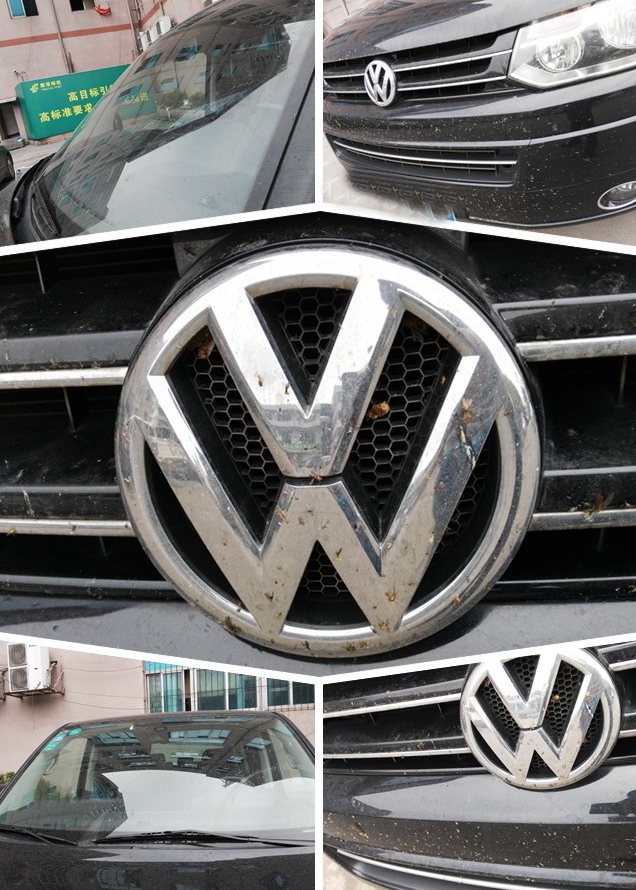 马路杀手变形记-三亚到苏州，千里走单骑