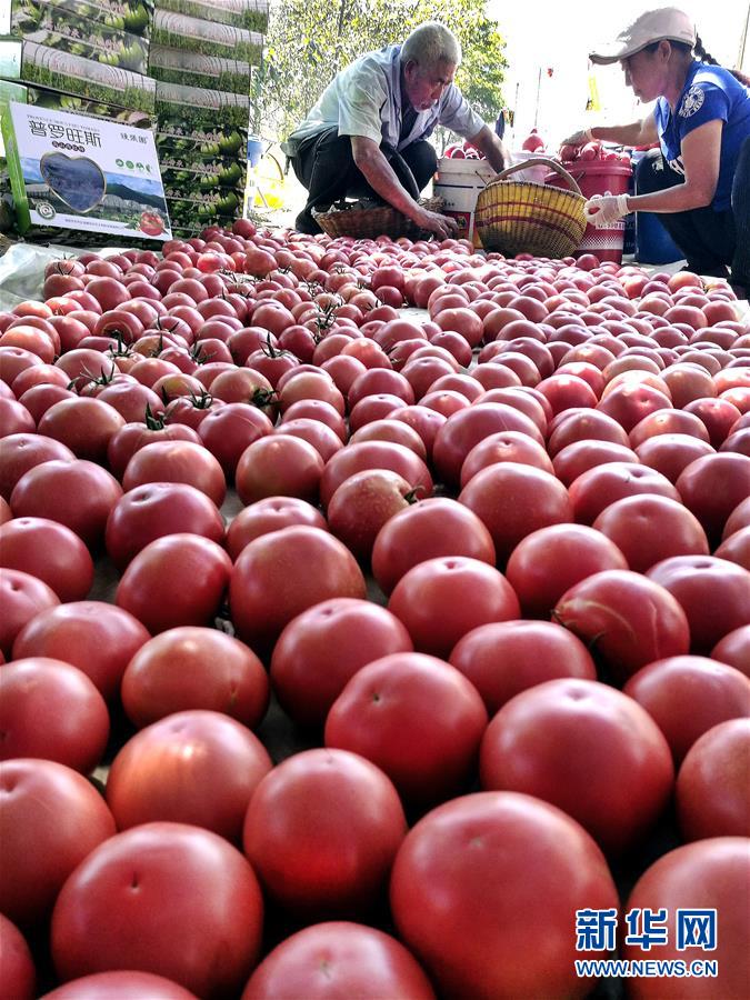 岐山县金蛋蛋,金蛋蛋陕西