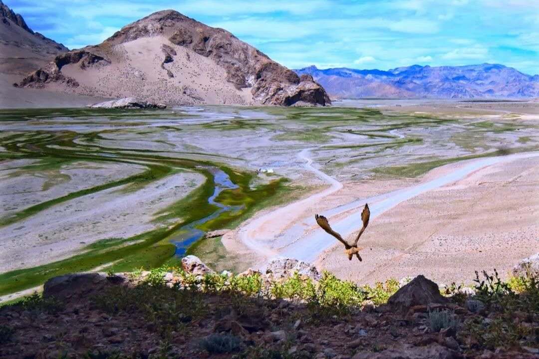 阿里在哪里申请开通合作快递,阿里在哪里的