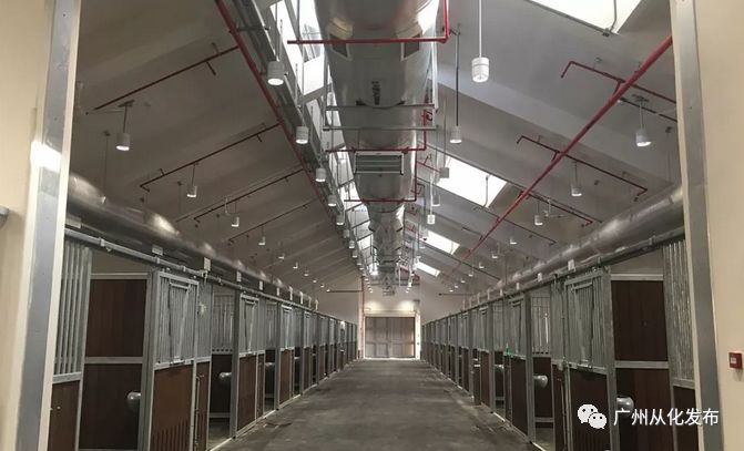 wow马术,香港赛马会从化马场